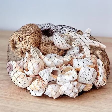 Mng Tomis Promenada * Năvodari