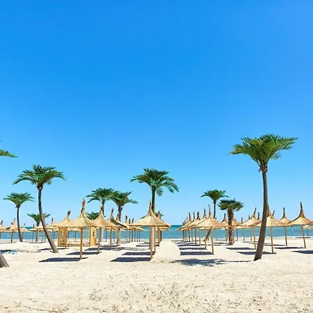 Mng Tomis Promenada Năvodari