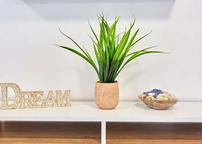 Mng Tomis Promenada דירה