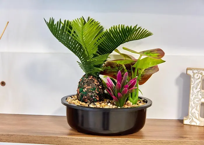 דירה Mng Tomis Promenada Năvodari