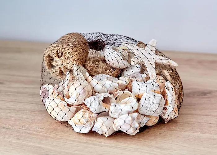 Mng Tomis Promenada * Năvodari